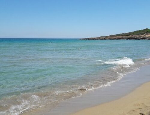 Marianelli in the Nature Reserve of Vendicari Noto